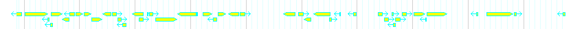 Genes detail