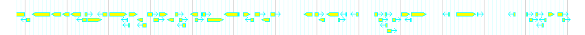 Genes detail