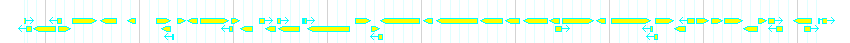 Genes detail