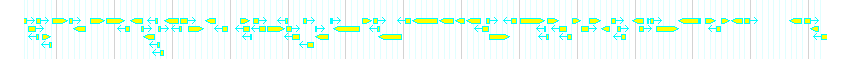 Genes detail