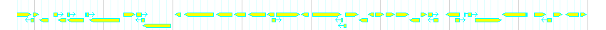 Genes detail