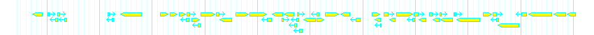 Genes detail