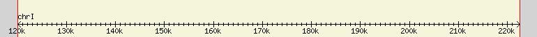 __scale__ region