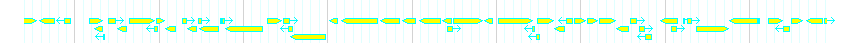 Genes detail