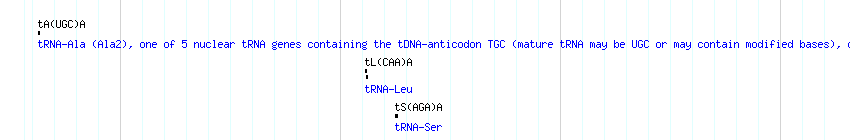tRNAs detail