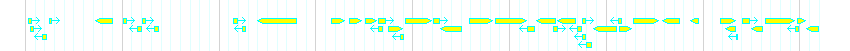 Genes detail