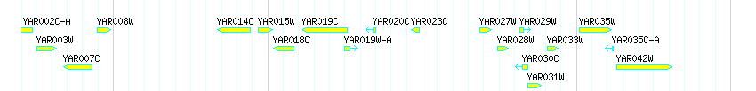 Genes detail
