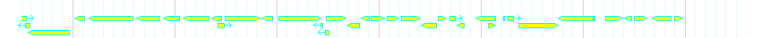 Genes detail