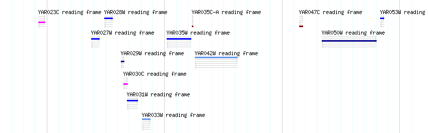 CDS detail
