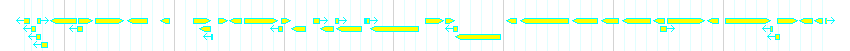 Genes detail