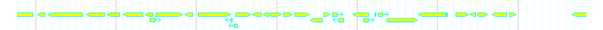 Genes detail