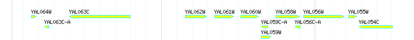 Genes detail