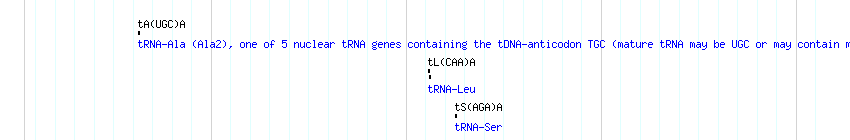 tRNAs detail