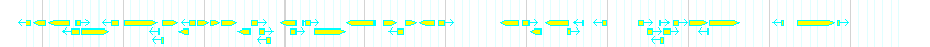 Genes detail