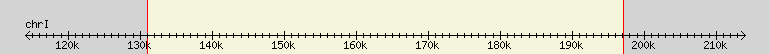 __scale__ region