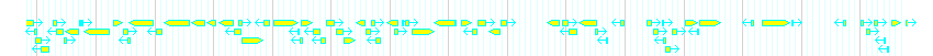 Genes detail