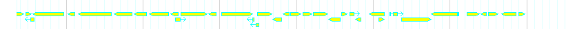 Genes detail