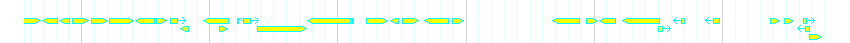 Genes detail