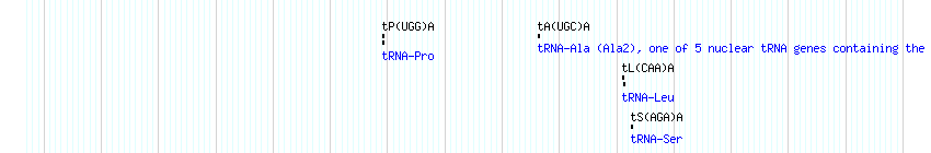 tRNAs detail