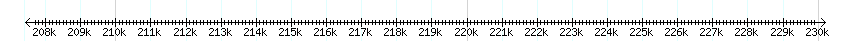 __scale__ detail