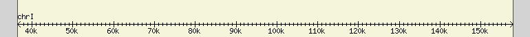 __scale__ region