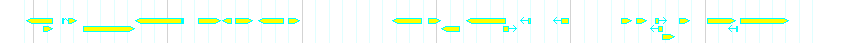 Genes detail