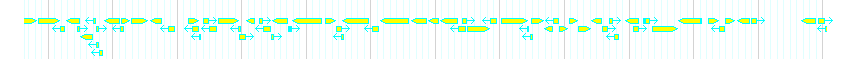 Genes detail