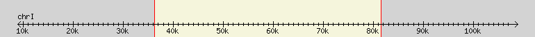 __scale__ region
