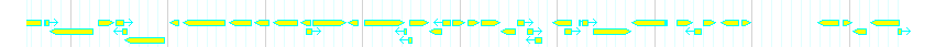 Genes detail