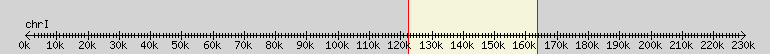 __scale__ overview