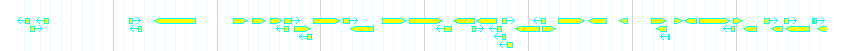 Genes detail