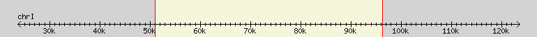 __scale__ region