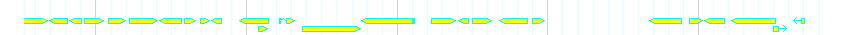 Genes detail
