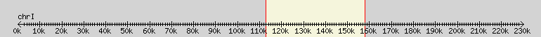 __scale__ overview