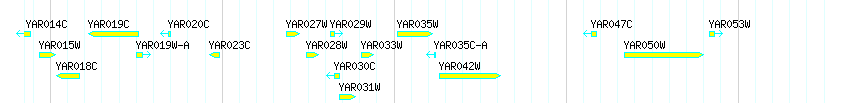 Genes detail