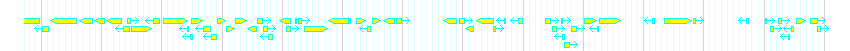 Genes detail