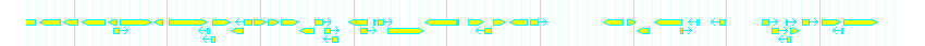 Genes detail