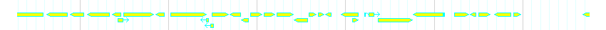 Genes detail