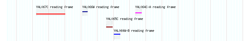 CDS detail