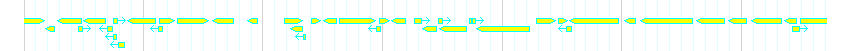 Genes detail