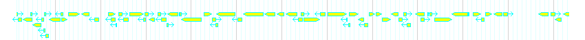 Genes detail