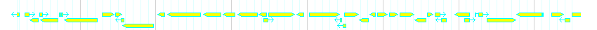 Genes detail
