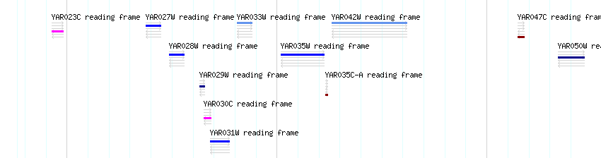 CDS detail