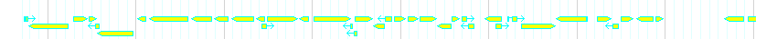 Genes detail