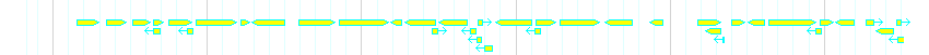 Genes detail