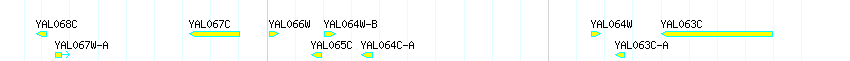Genes detail