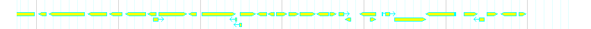 Genes detail
