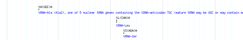 tRNAs detail