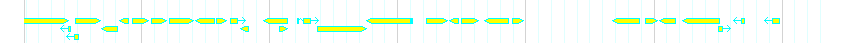 Genes detail