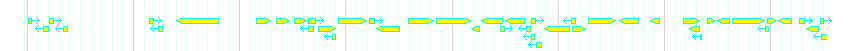 Genes detail